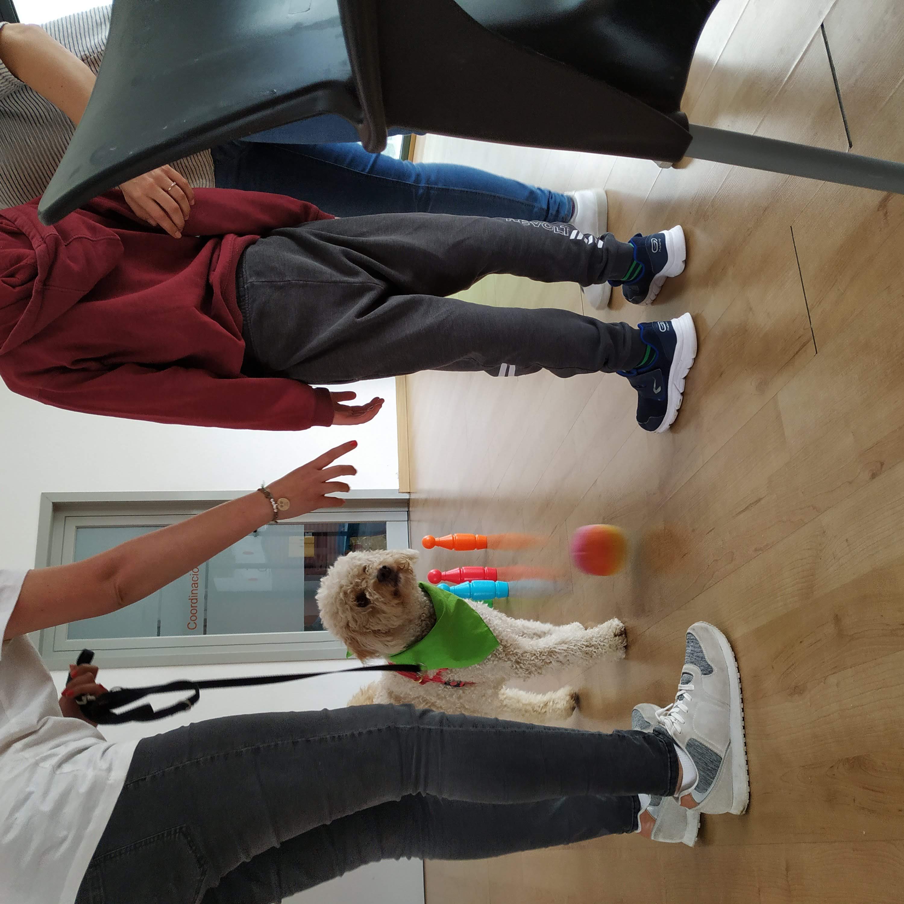 Actividades Asistidas con Perros
